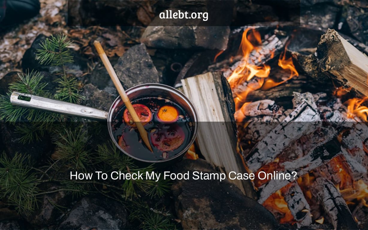 How To Easily Check My Food Stamp Case Online Step By Step Guide