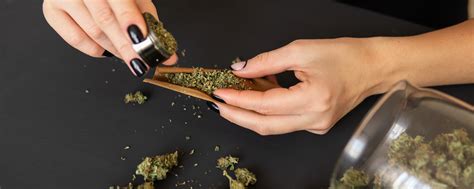 How To Roll The Perfect Joint Indiva Guides