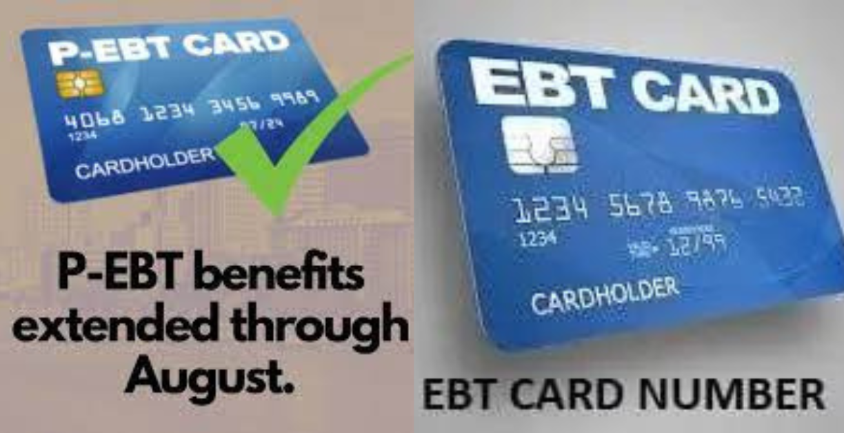 How To See Ebt Card Number Online How Do I Find My Ebt Card Number