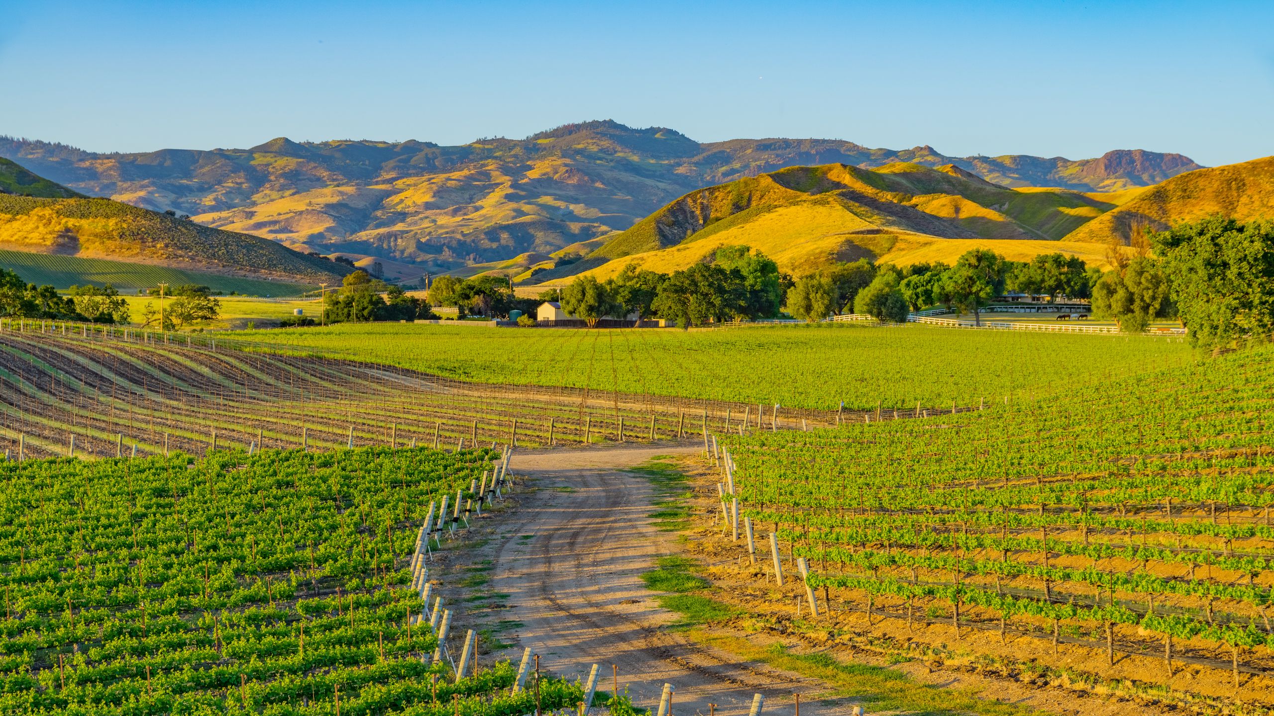 How To Spend A Weekend In California S Santa Ynez Valley Cond Nast