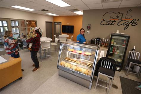 Humane Society S Cat Caf Reopens With Extended Menu Hours Features