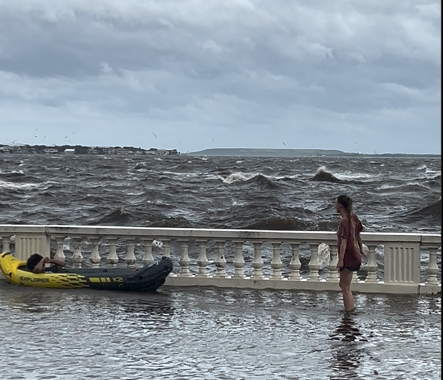 Hurricane Helene Tampa St Pete Bayshore Video Of Flooding Kayaks