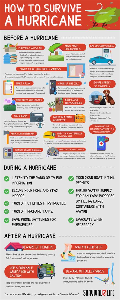 Hurricane Survival Guide What Everyone Should Know Youtube