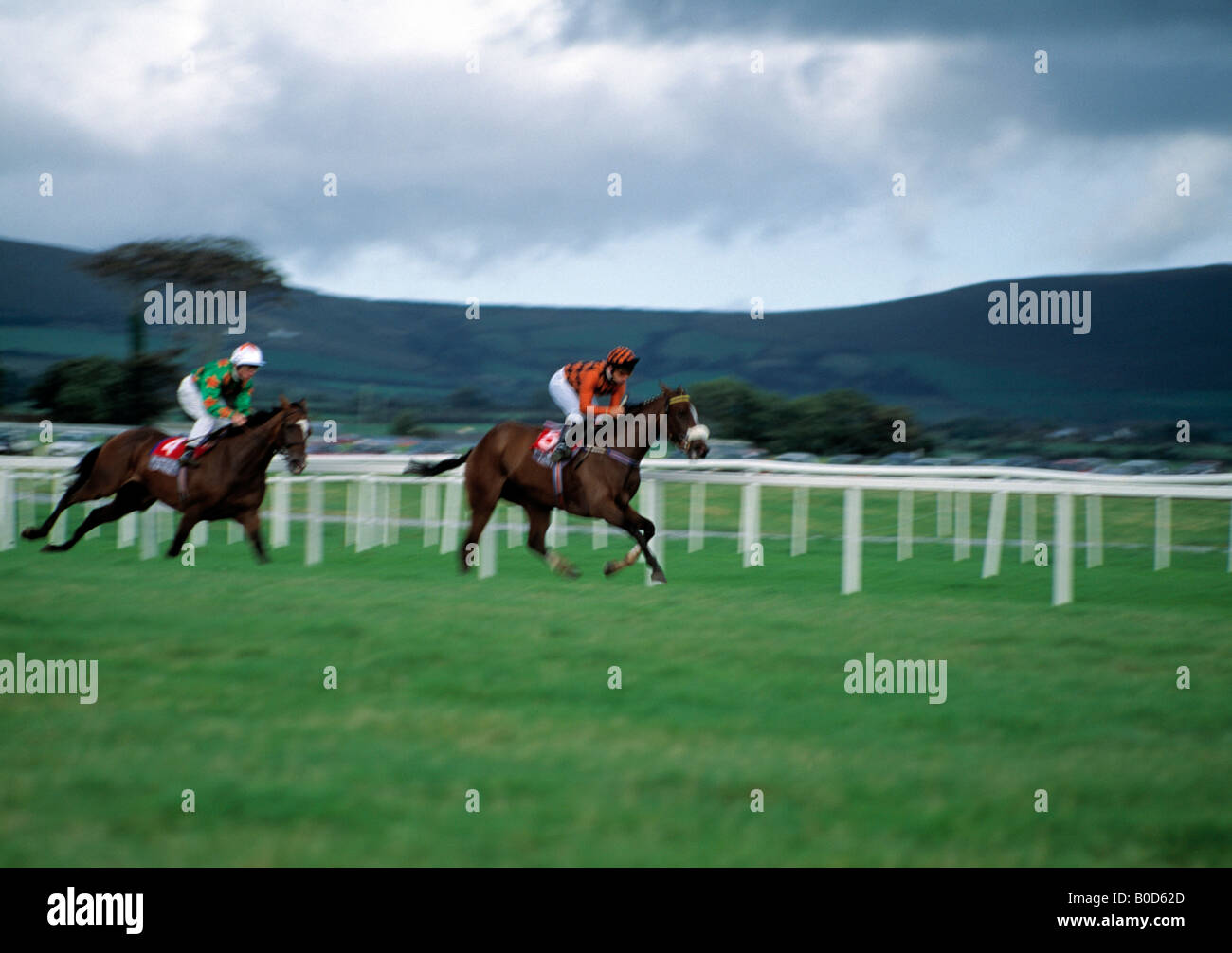 Irish Horse Racing Event On The Flat Stock Photo Alamy