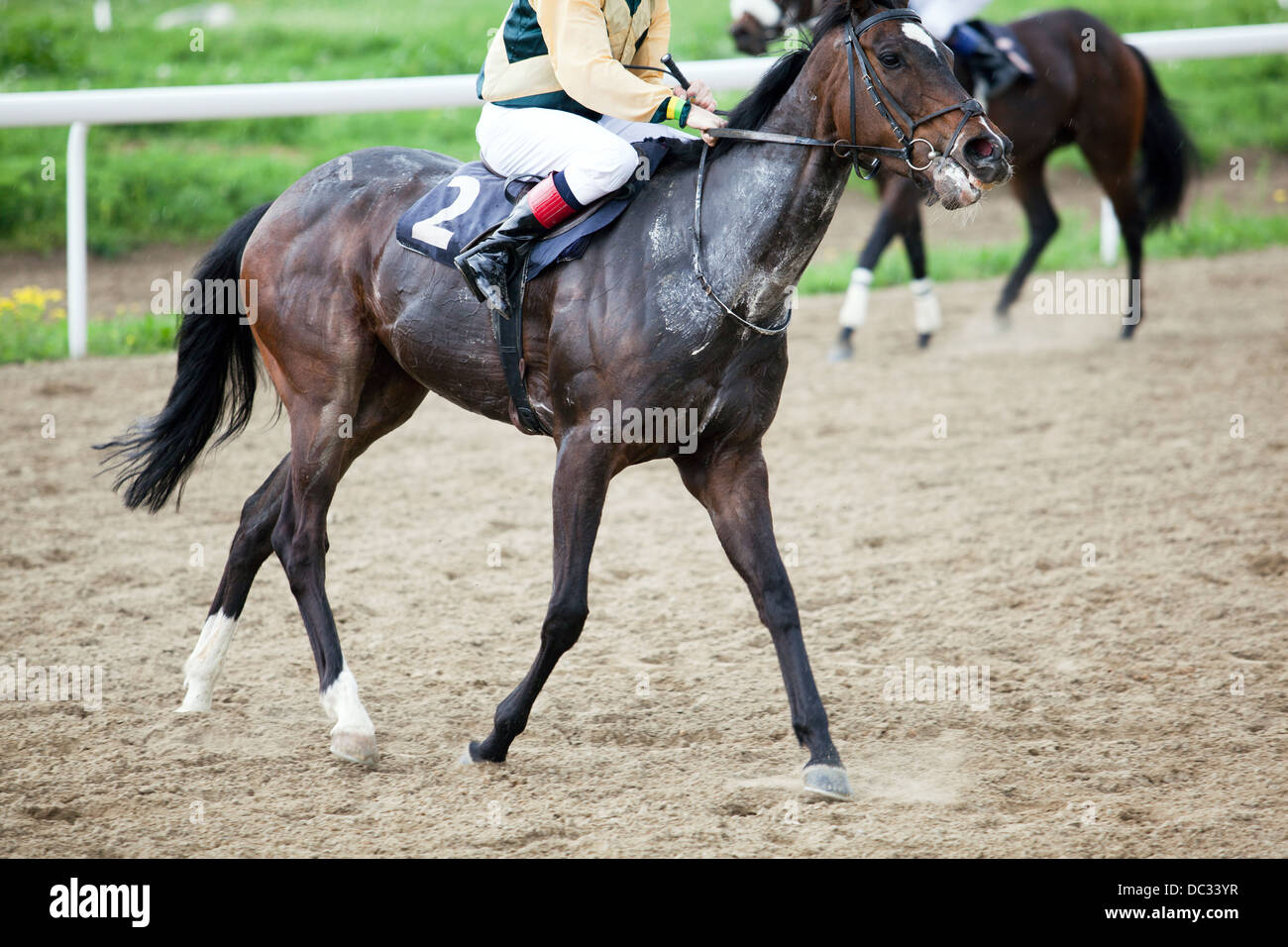 Irish Horse Racing Stock Photos Irish Horse Racing Stock Images Alamy