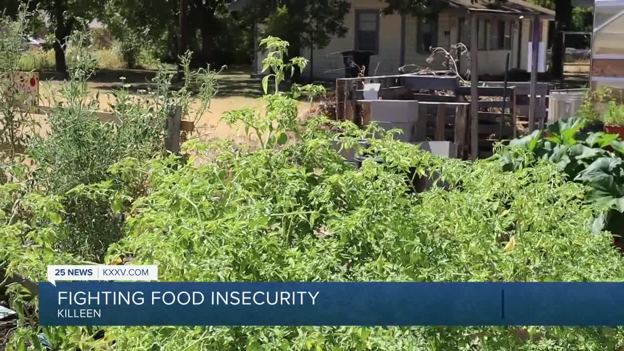 Killeen Creators Help Address The Food Insecurity Issue In Central Texas