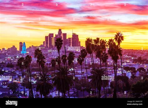 Los Angeles Skyline And Palm Trees Stock Photo Image Of Highway