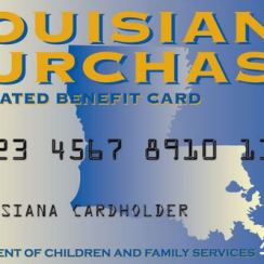 Louisiana Ebt The Complete Guide To Phone Support Services Hebrew Jpost