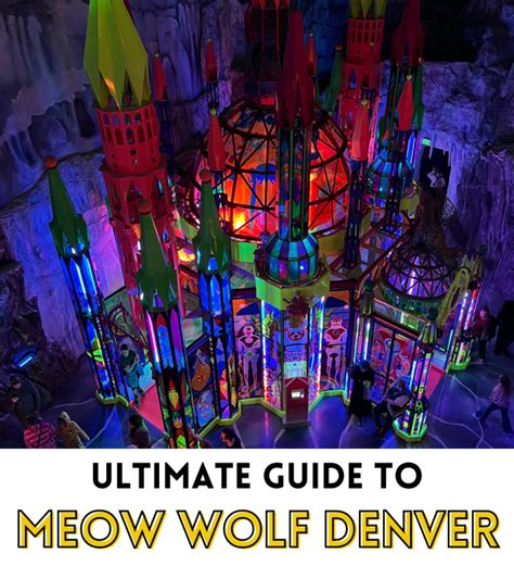 Meow Wolf Ebt: The Ultimate Guide