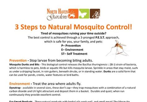 Mosquito Solutions North Haven Gardens