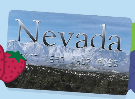 Nevada Ebt Card Number