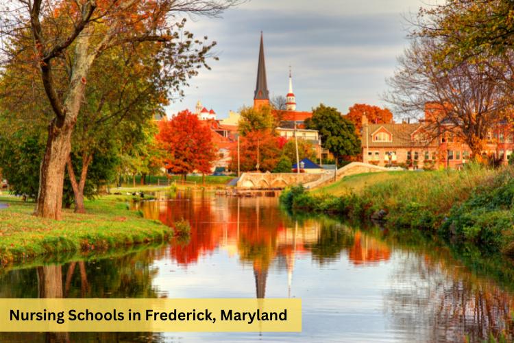 Nurses Choice The 7 Best Nursing Schools In Maryland Nursebuff