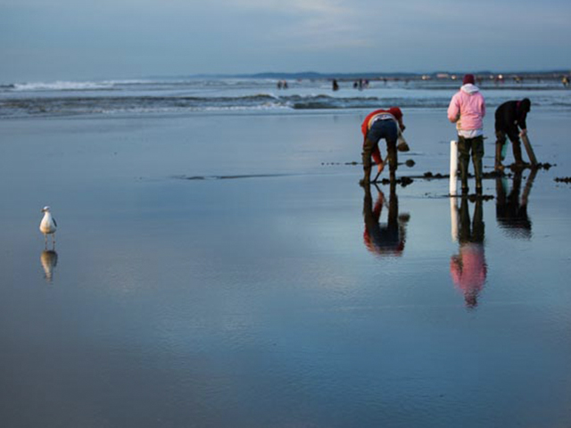 Ocean Shores Wa Travel Destination