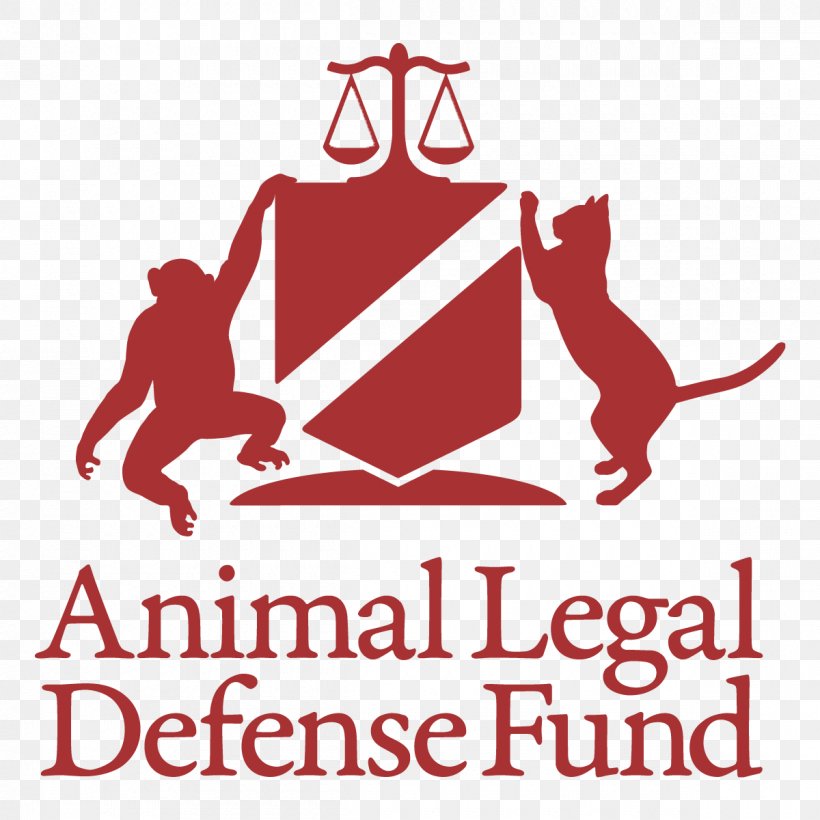 Officers Lewis Clark Law School Animal Legal Defense Fund Lewis