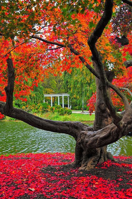 Old Westbury Gardens Nassau New York Usa Pinlovely