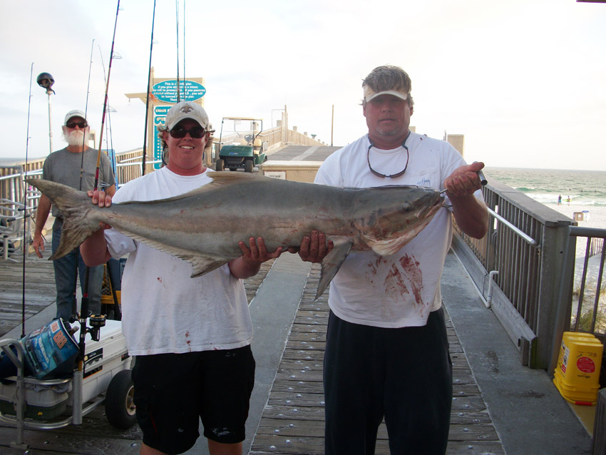 Pensacola Fishing Pier Guide Tips Fish Types Local Secrets Revealed