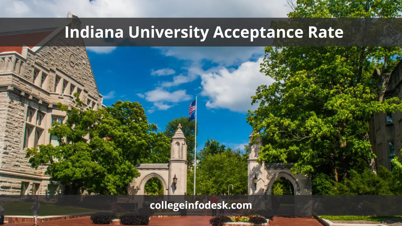 Pitt Acceptance Rate Strategies And Insights For Admission Success