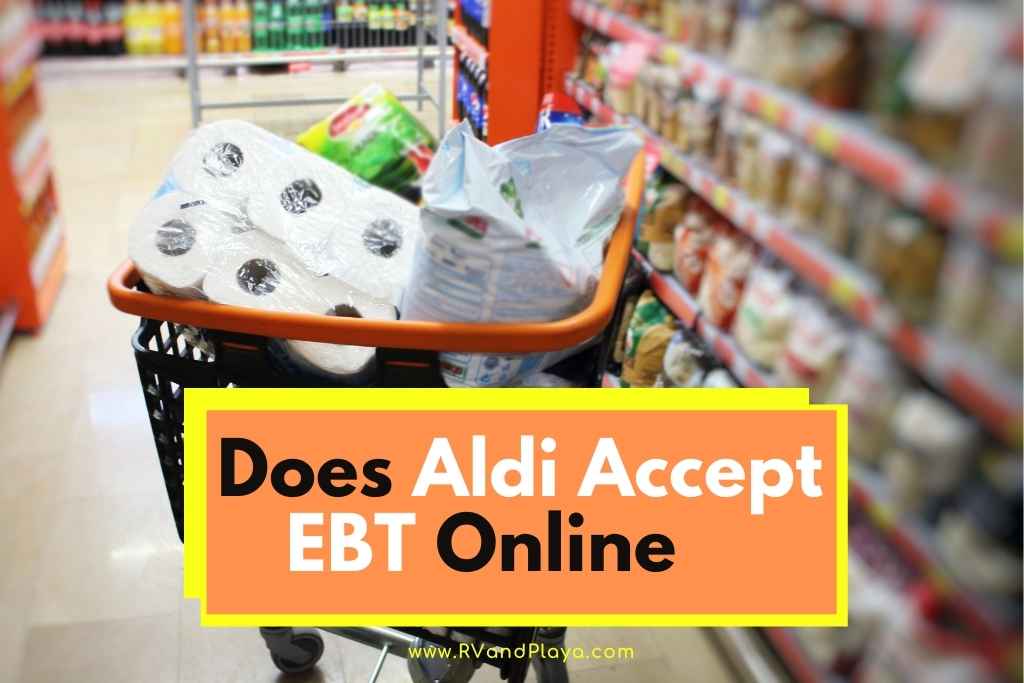 Pro Guide: Ebt Aldi Online Shopping  Do It Now!