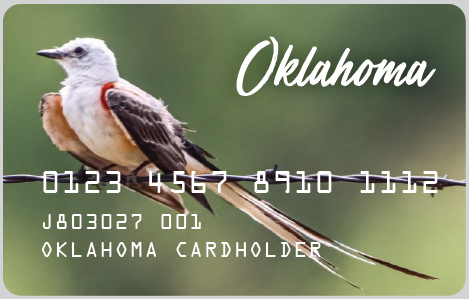 Pro's Guide: Connect Ebt Oklahoma Now