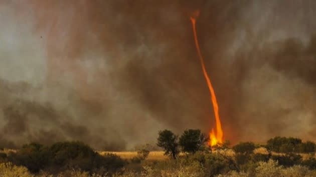 Rare Fire Whirl Caught On Film Video