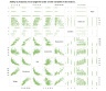 Scatter Plot Matrix In Excel 12X12 Panels With Correlation Matrix