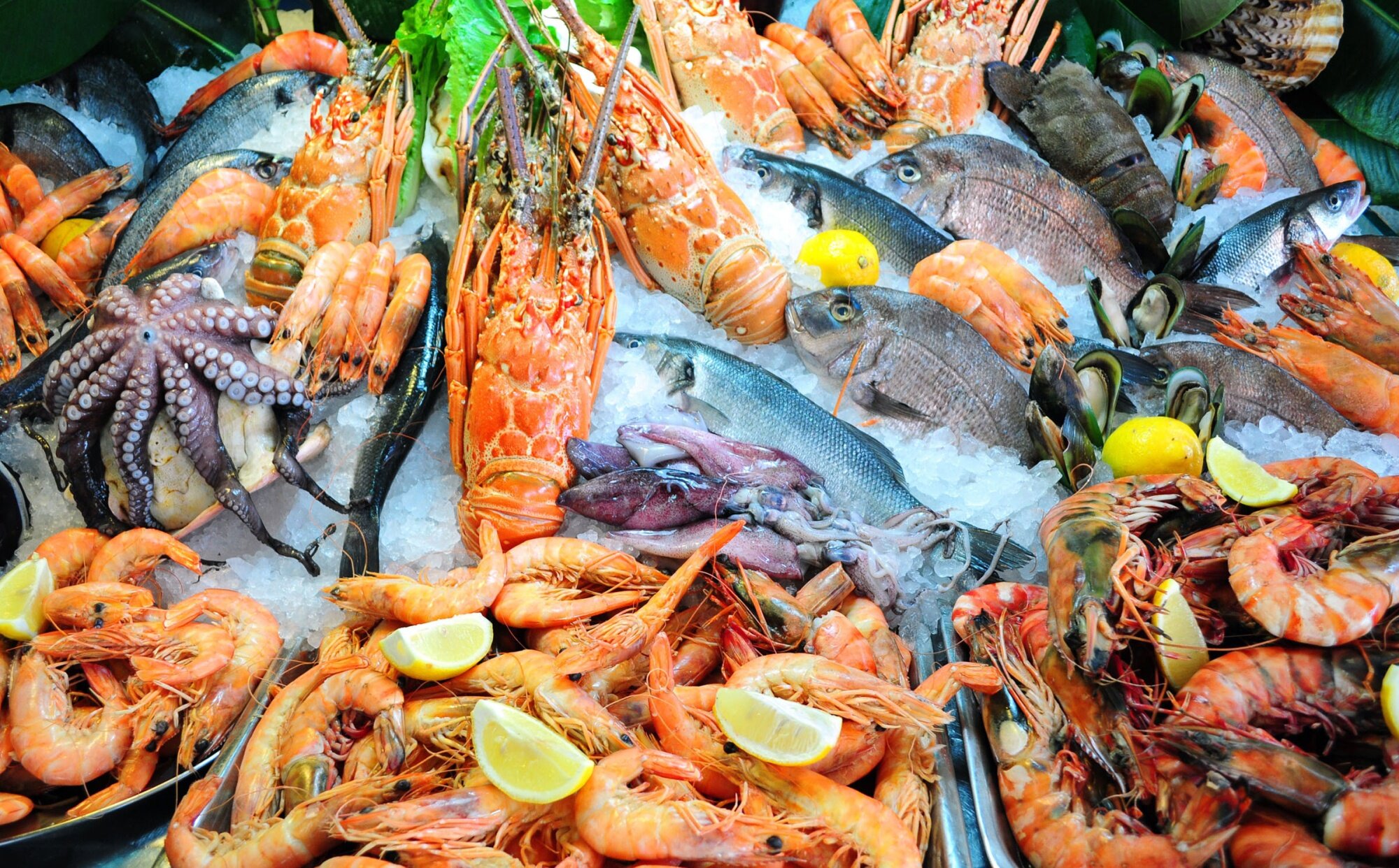 Seafood Market