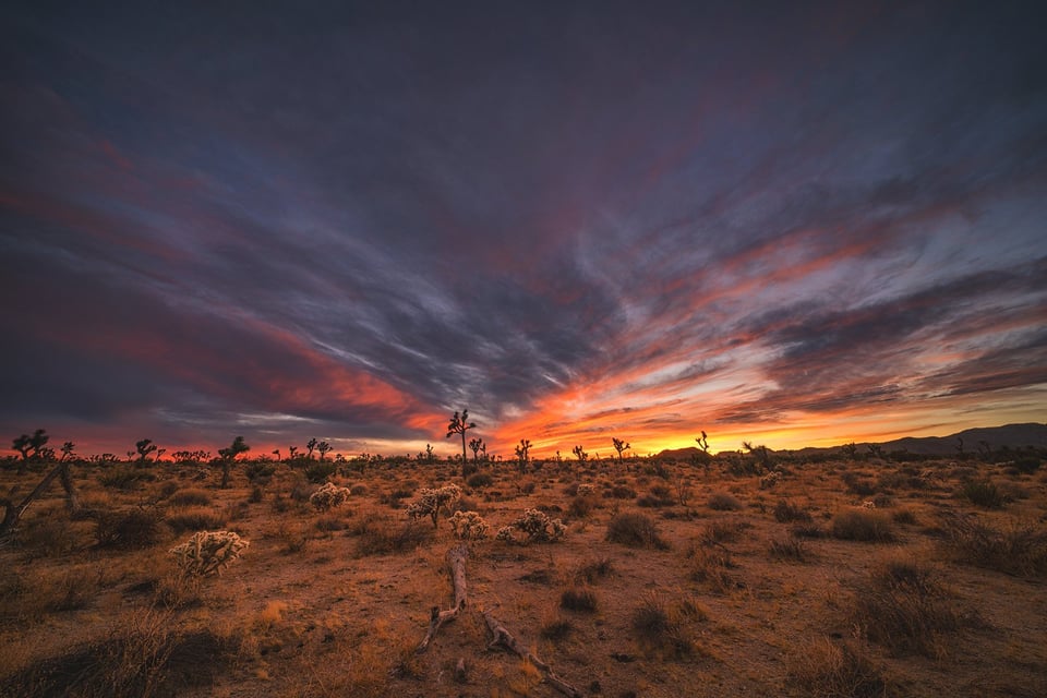 Skyfire Over The Desert Twentynine Palms Ca By Travis Rhoads 1600 X