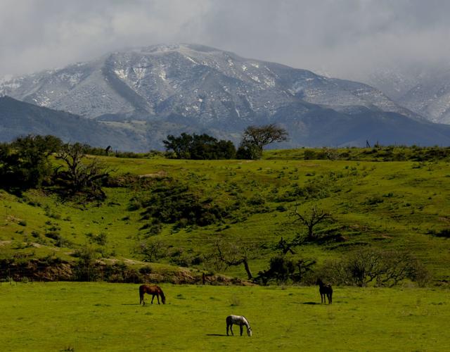 Snow And Hail Fall In The Santa Ynez Valley Local News