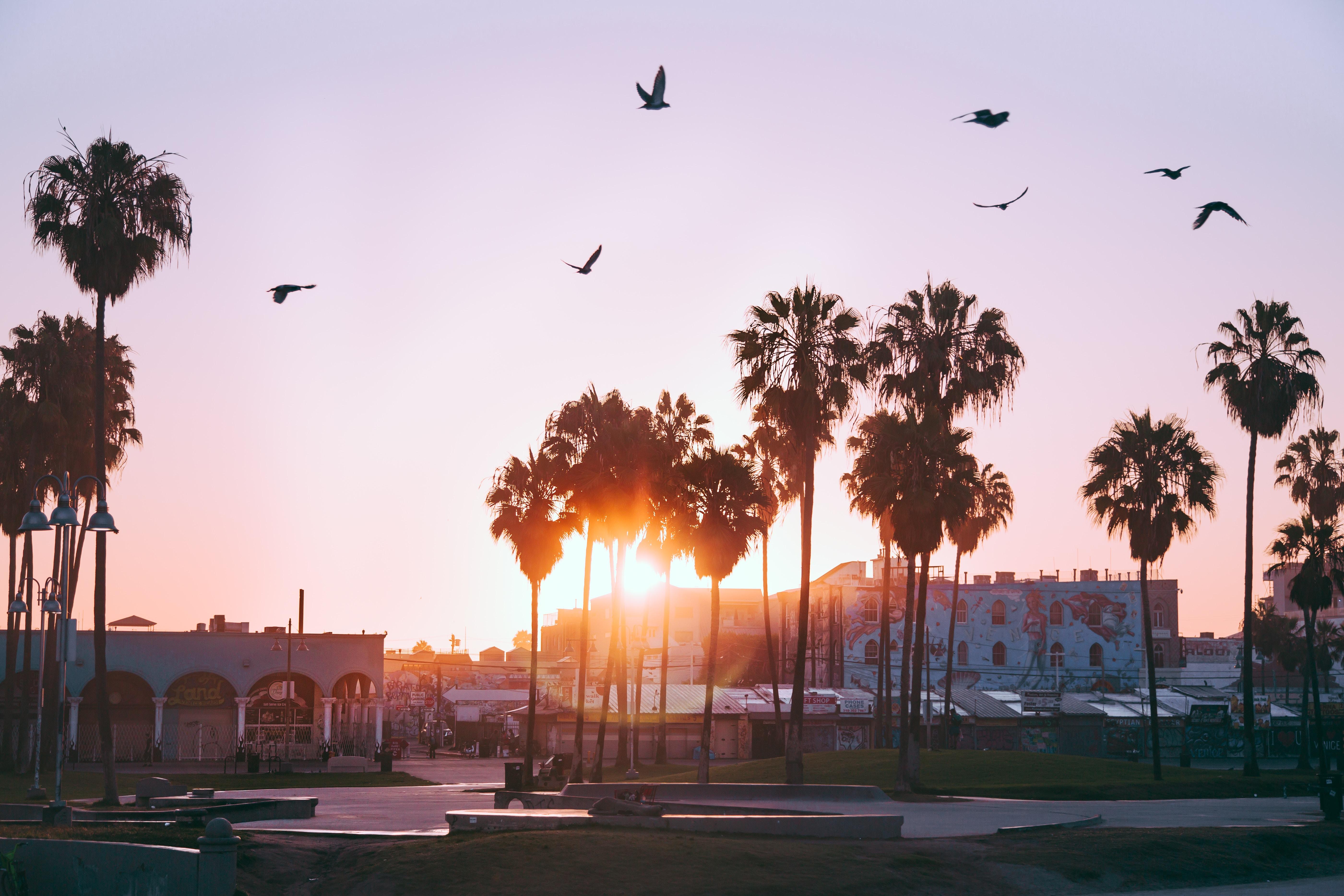 Sonnenuntergang Am Venice Beach In Los Angeles Foto Bild North