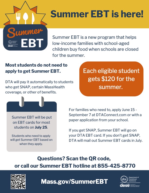 Summer Ebt 2024 Mn Application