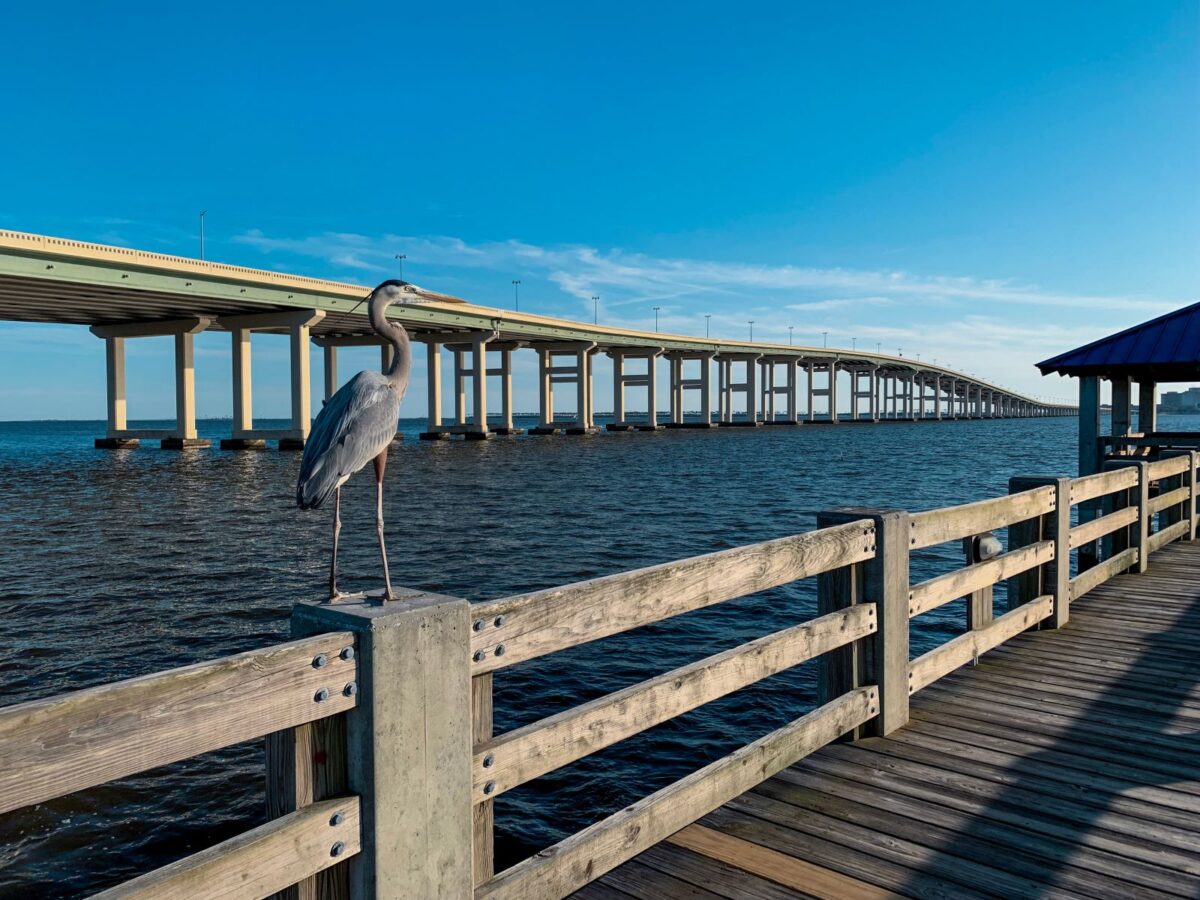 Take A Day Trip To Ocean Springs Ms On Your Dauphin Island Vacation