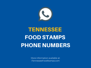 Tennessee Food Stamps Office Location And Phone Number Tennessee