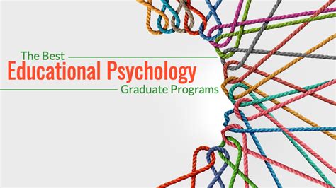 The 20 Best Educational Psychology Graduate Programs Successful Student