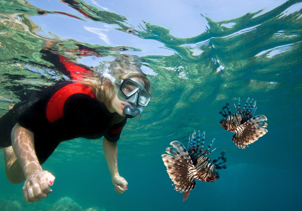 The 4 Top Marine Biology Colleges In Texas Key Information Education