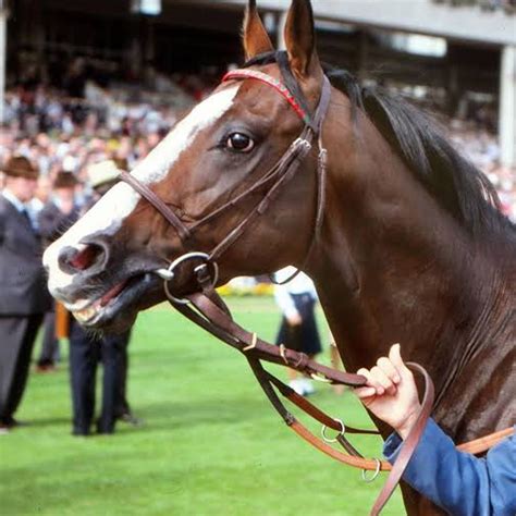 The Legacy Of Shergar: Exploring The Iconic Horse's Remarkable Story