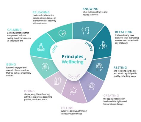 The Nine Principles Of Wellbeing A New Approach Jbe Health