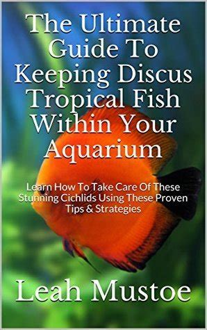 The Ultimate Guide To Keeping Discus Tropical Fish Within Your Aquarium