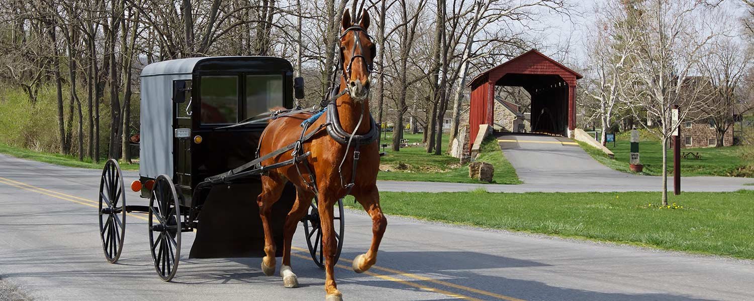 The Ultimate Guide To Northern Indiana Amish Country