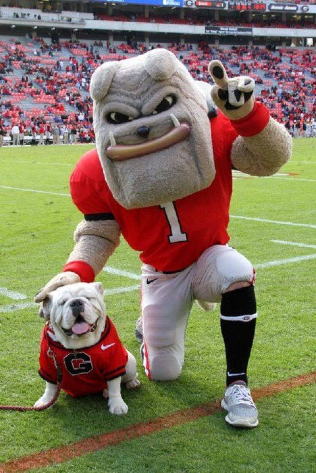 The Ultimate Guide To Uga Orientation Artofit