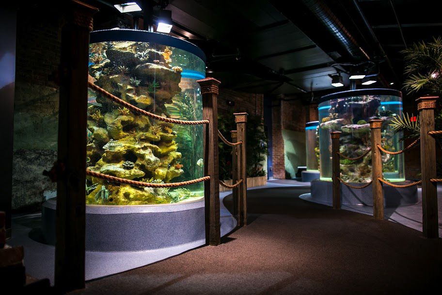 Tickets Prices Discounts Greater Cleveland Aquarium Cleveland