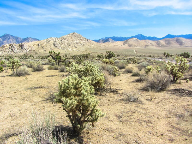 Twentynine Palms Gateway To Joshua Tree National Park And Mojave