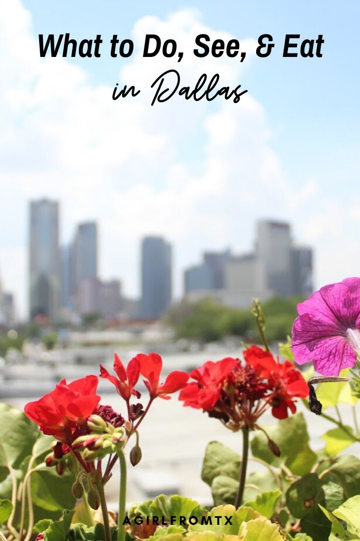 Ultimate Dallas Guide In 2020 Dallas Travel Dallas Things To Do