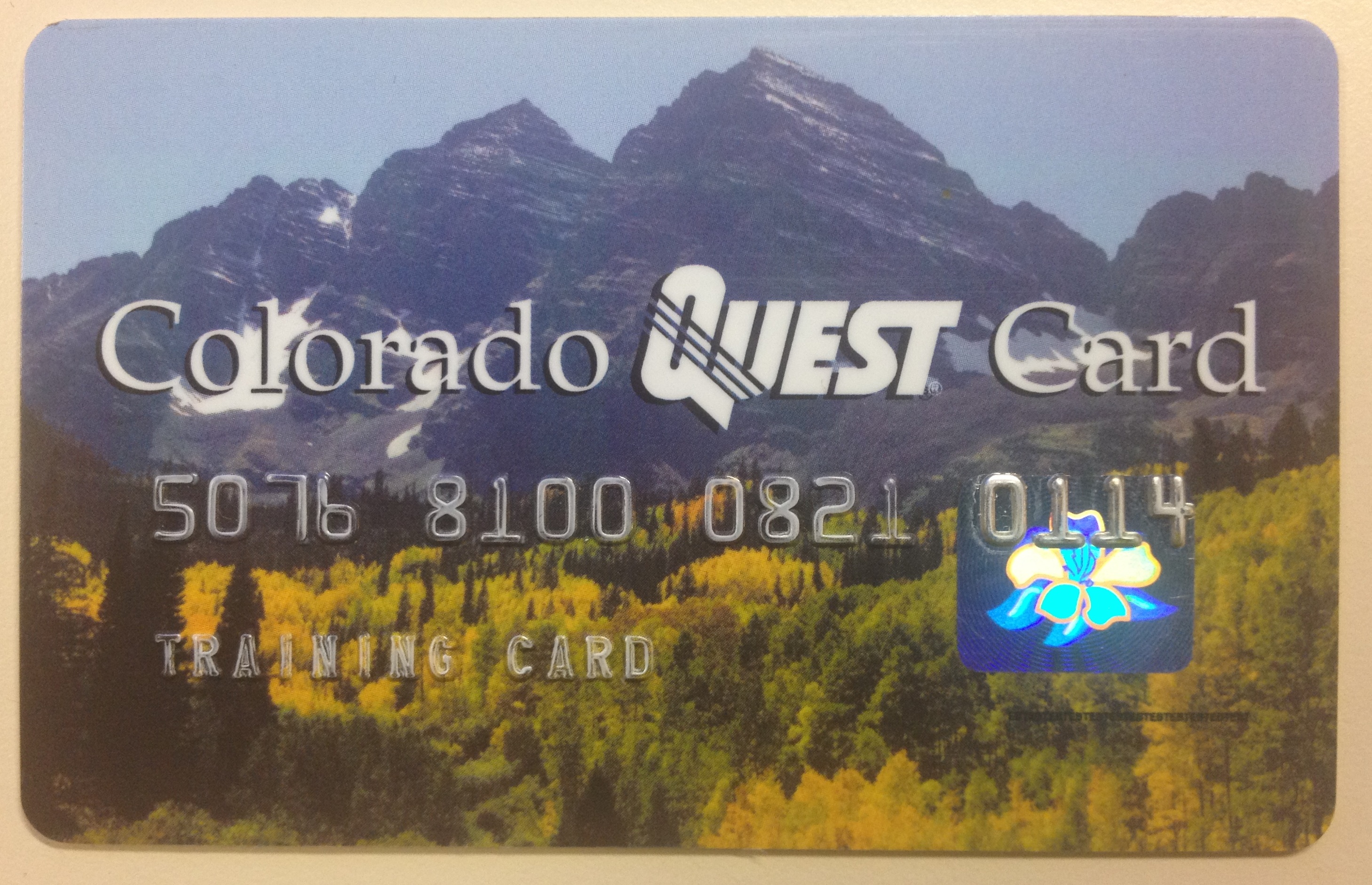 Ultimate Guide: Check Your Colorado Ebt Balance Now!