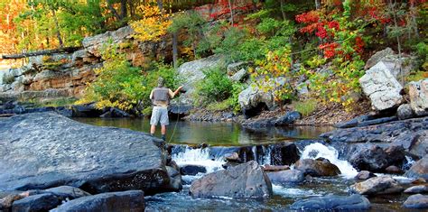 Ultimate Guide: Perfect Your Rockbridge County Experience