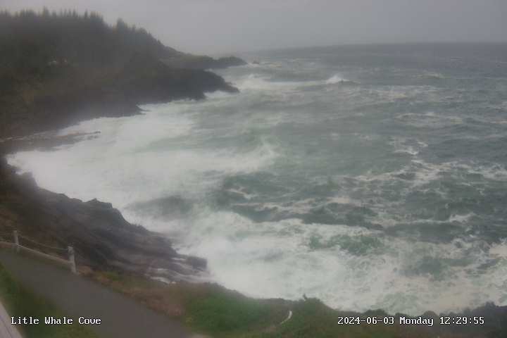 Ultimate Guide To Perfecting Depoe Bay Weather Plans Today