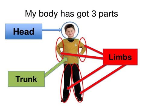 Unit 1 Your Body Mind42