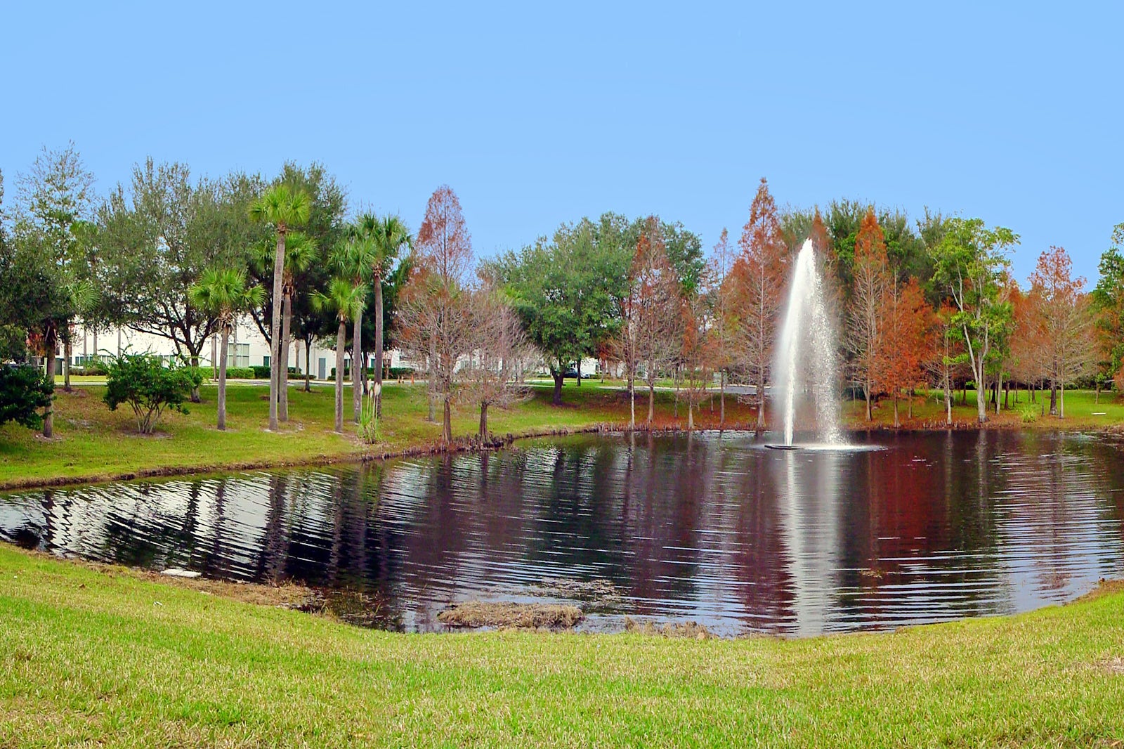 University Of Central Florida Orlando University Go Guides