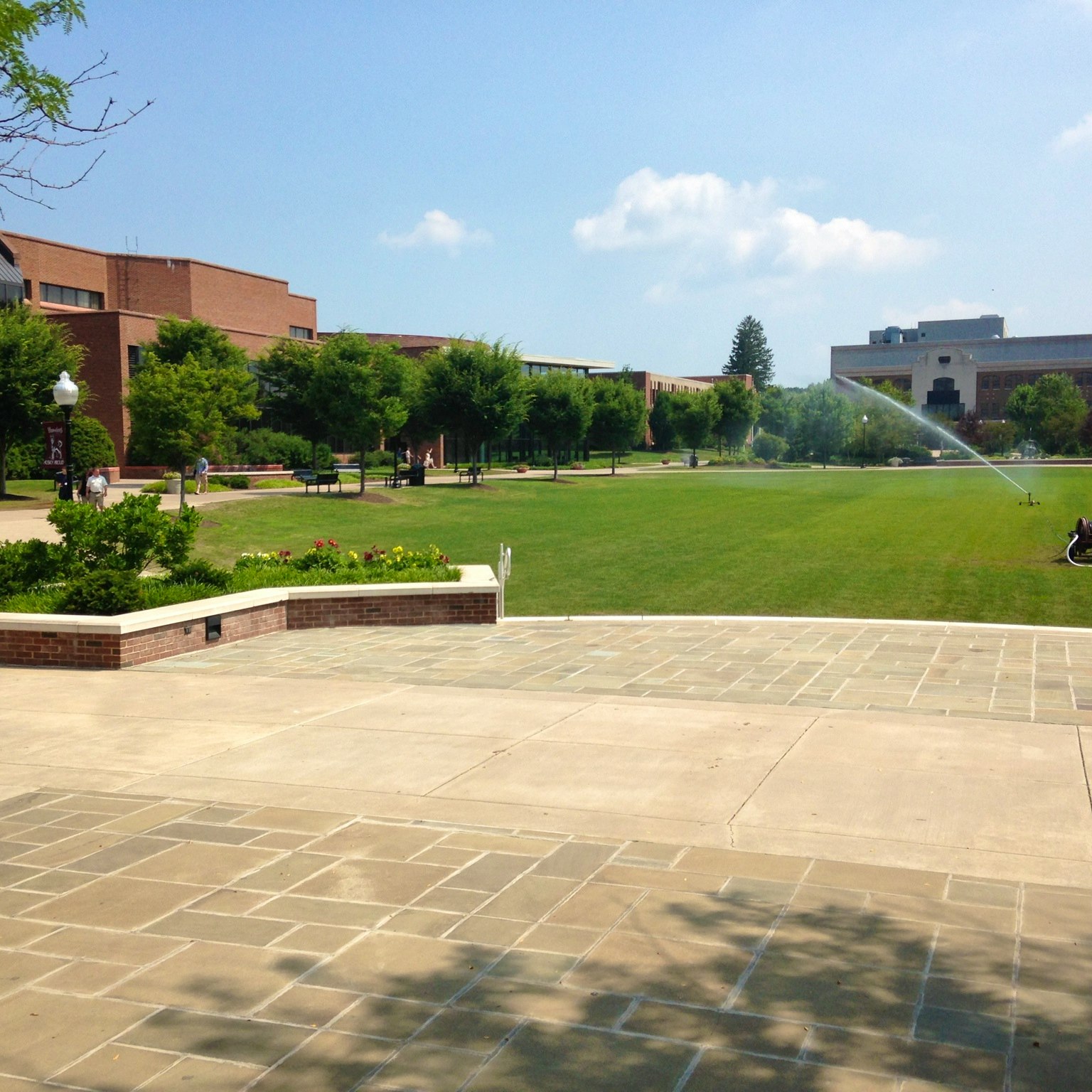 University Of Pennsylvania Majors