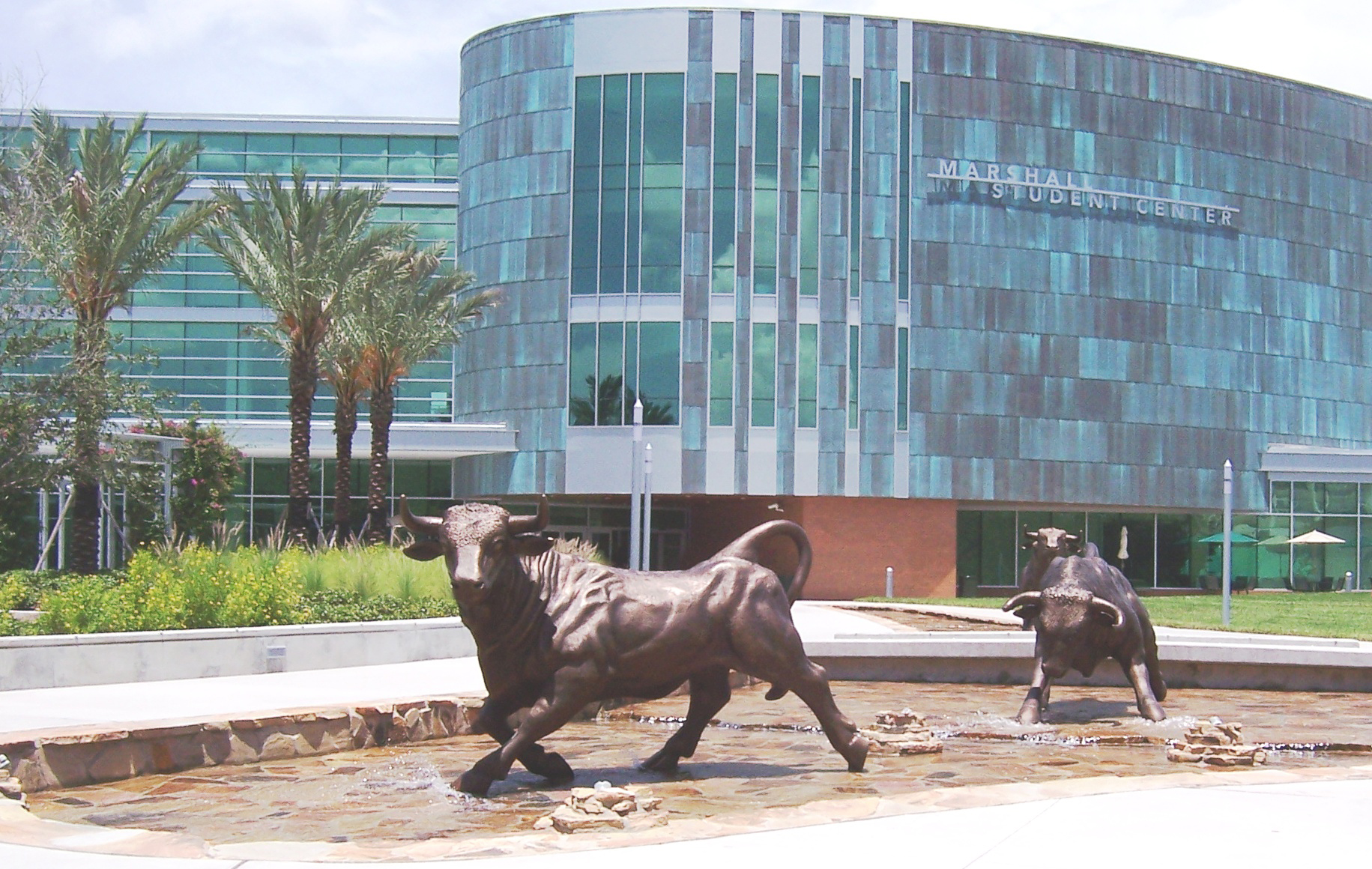 Usf News University Of South Florida