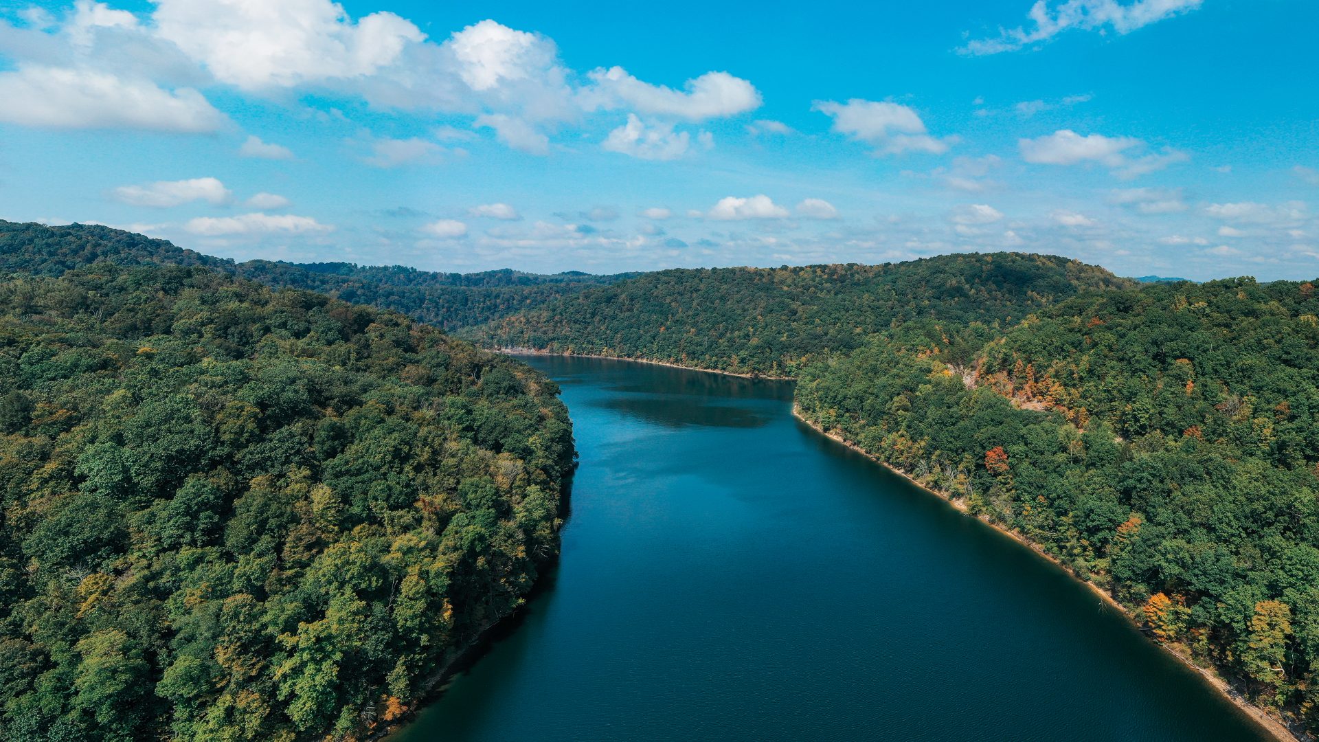 Varying Habitat Makes Elk River Wma A Great Place To Hunt Wvdnr